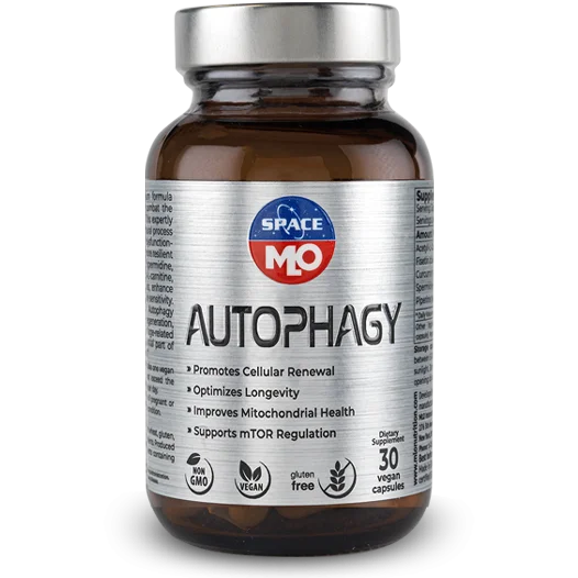 Autophagy - Zdravie pečene